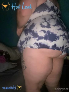 11582636
