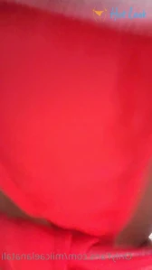 11353198