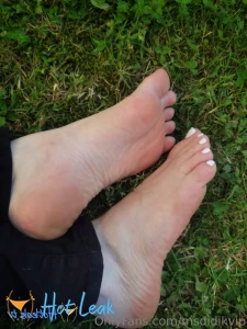 11755550
