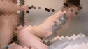 11350641