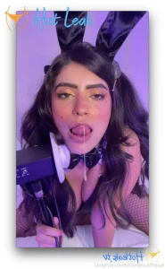 11516697