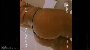 11286816