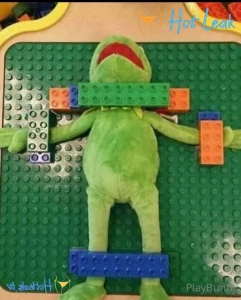 11571531