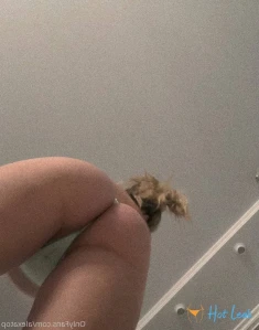 11301495