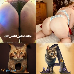 11384598