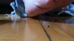 11351672