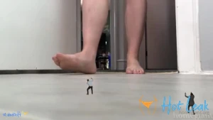 11734578