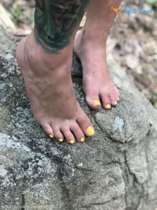 11337630