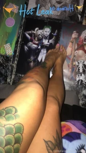 11773958