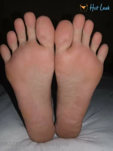 11360291