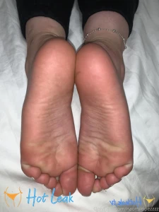 11858498