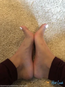 11362430