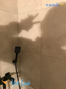 11800970