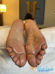11798355