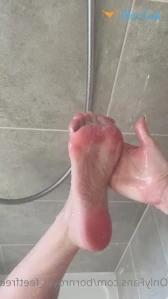 11394463
