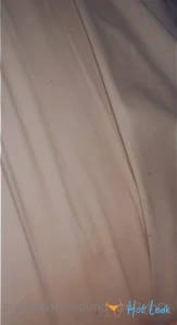 11391365