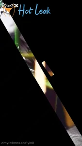 11417664