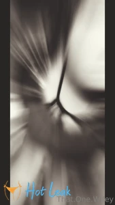 11421196