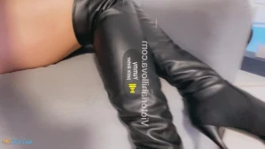 10703373