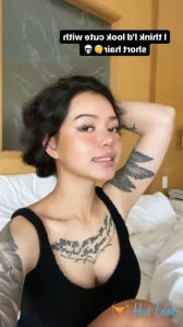 4623702