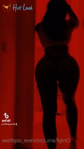 10695351