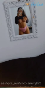 10695355