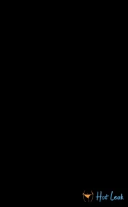 10693202