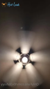 1915981