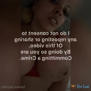 7784528