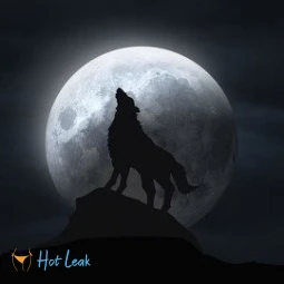 Little Moon Wolf