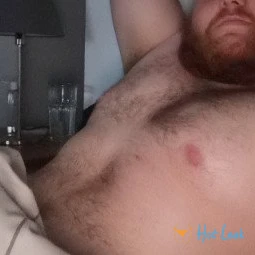 DaddyBear