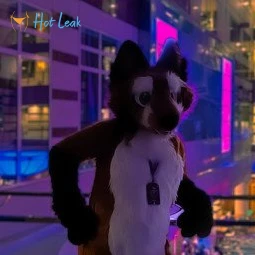 Matthew The Fox