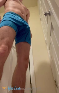 fratbronick