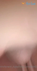 ladyb_transforms