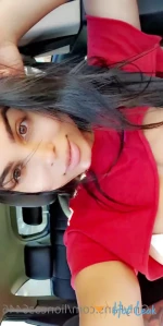 lioness6446