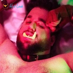 TheBearWannabe