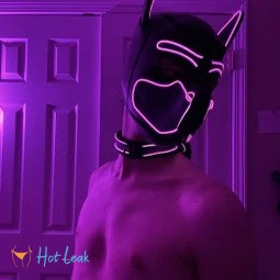 Pup Haze