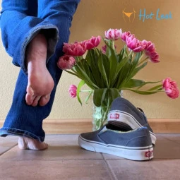 Queen_of_Vans