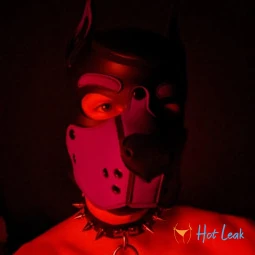 Bad Puppy