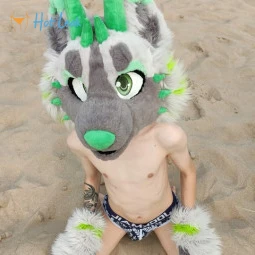 Midorifox